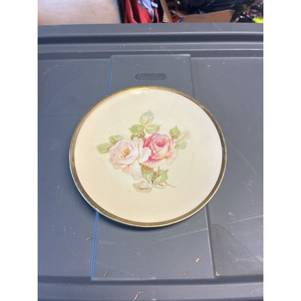 Vintage-CT ALTWASSER-Rose 9‎ 1/2" Porcelain PLATE-Made in Germany